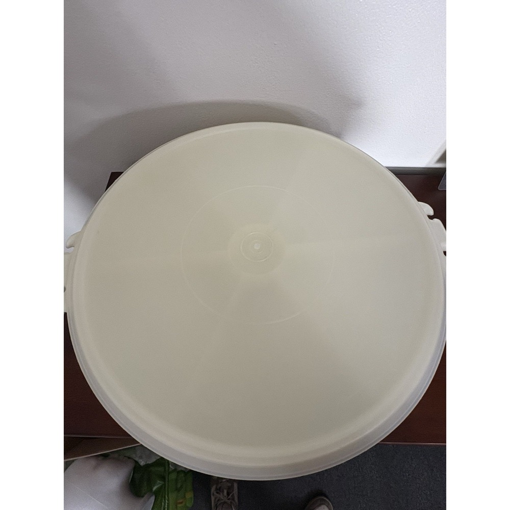 Tupperware Party Trays Set Of 2 With Lids